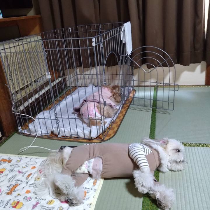 80e5708a 3199 44ad a2f9 244154f584af 1679272624887