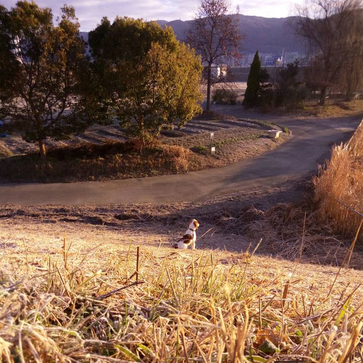 80e60889 578b 496b 9807 13bd58162c5d 1515889655590