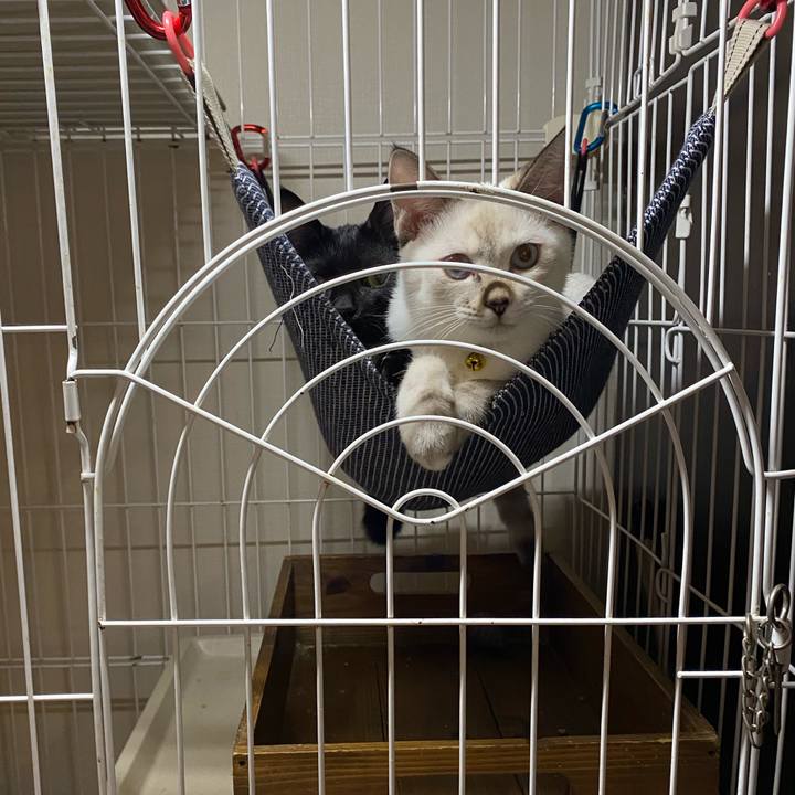 80e62072 1d94 402a 8a19 5b67078d9a96 1633851190544