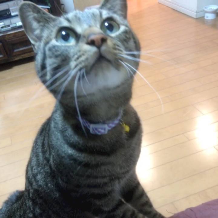 80e63001 f096 4e0f 9e73 fd90fc19c313 1546163986528