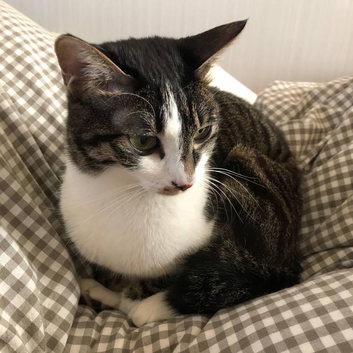 80e6613f dcc8 4615 971d bfee7270d807 1519885381804