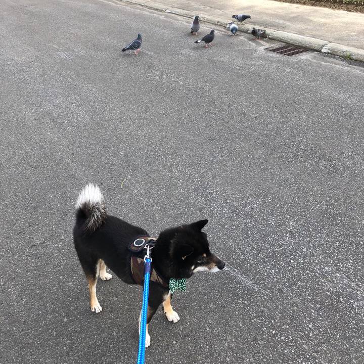 80e68009 19a0 4d1a 834b d9b546449877 1526954819221