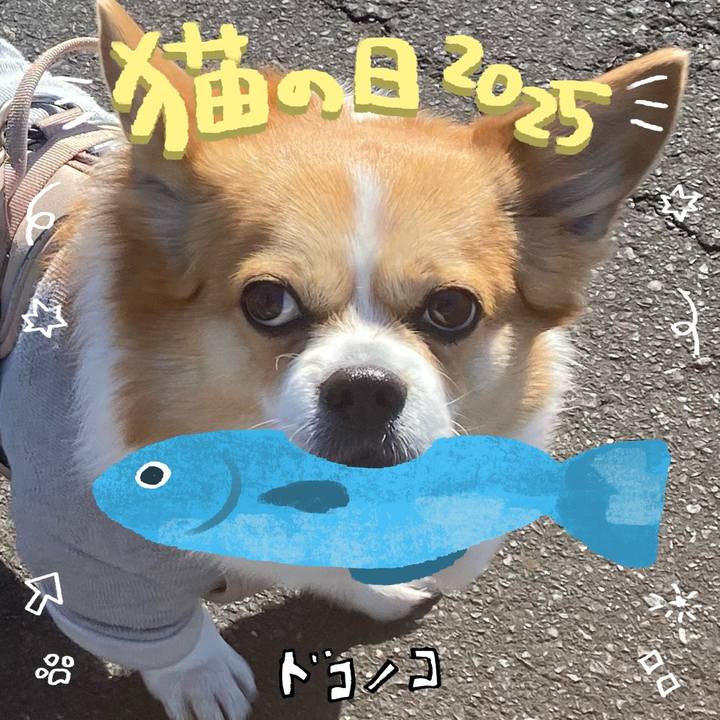 80e69c5c 3d23 4ef5 8fdc f92f52c86c94 1740233752593