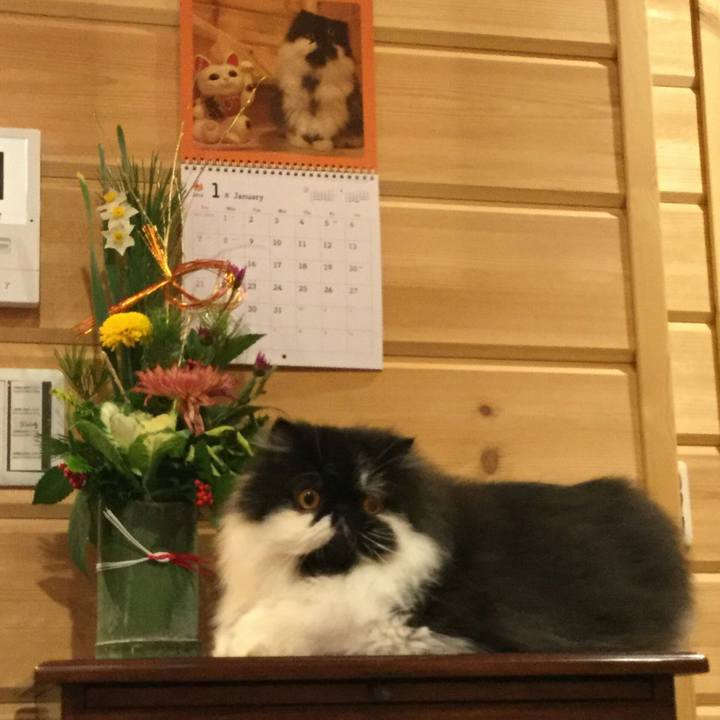 80e6a69e 8f84 423d aa0d 05ec2e62ed54 1515074859498