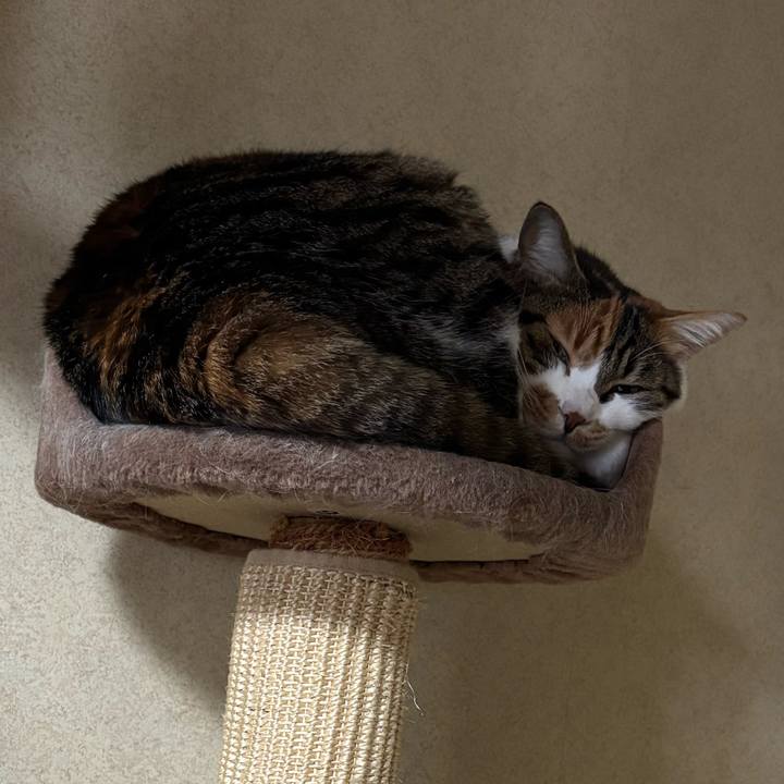 80e6a81e e76e 4c10 ae74 1d939692183c 1735785081156