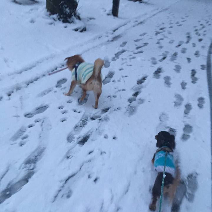 80e6b679 b506 4610 9510 0c2250dc298e 1516609474426