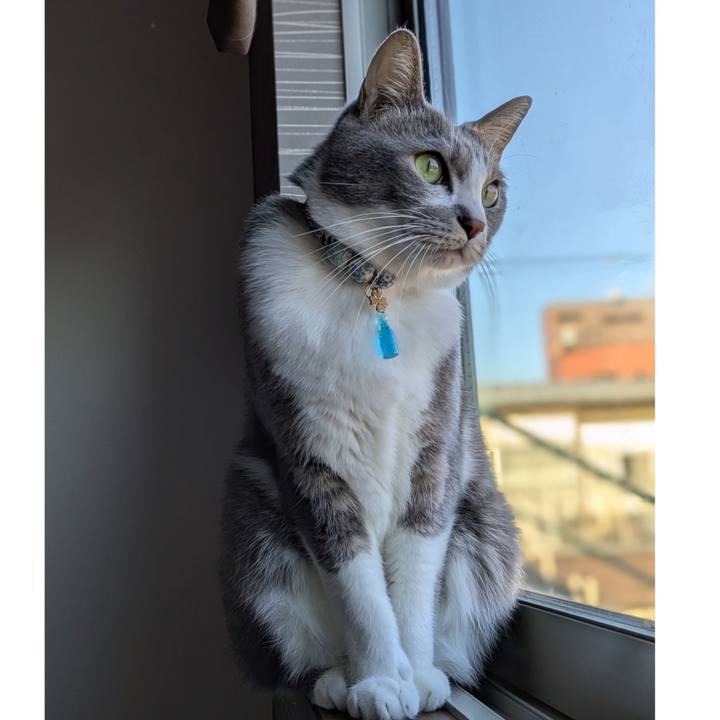 80e6d514 5384 41c8 9625 c5977df749e4 1733531662635