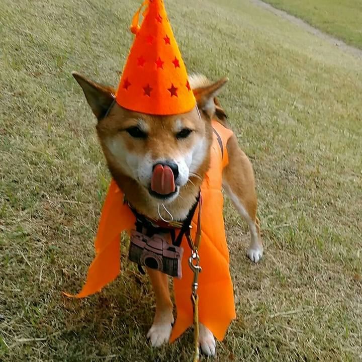 80e6e828 4817 4dc0 bac2 05d9211420ac 1540946661959