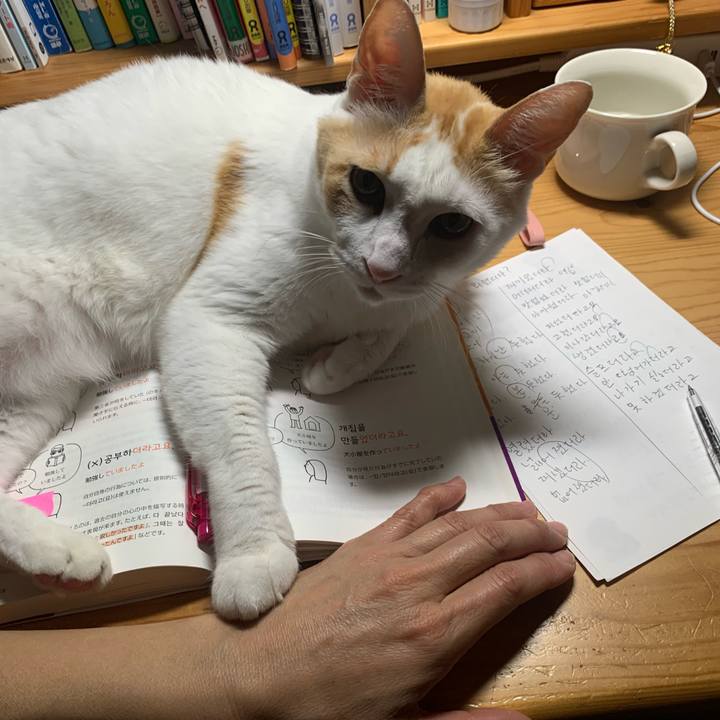 80e730be 23bc 4f16 99e4 7caa093be7dc 1641504022890