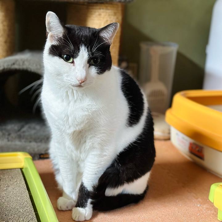 80e76b6d 17e7 4f54 8d38 f0cead5d3fc9 1671933242334