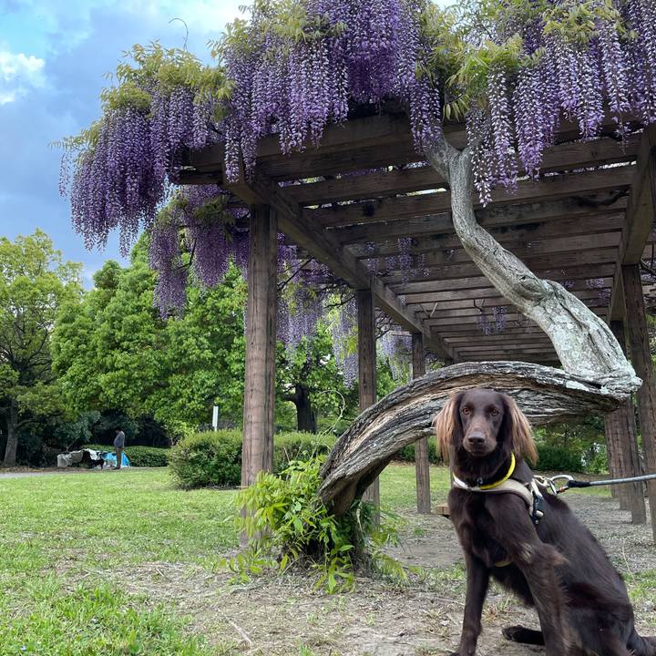 80e76c4f 0f53 40e2 be22 1c27a958532f 1619343101042