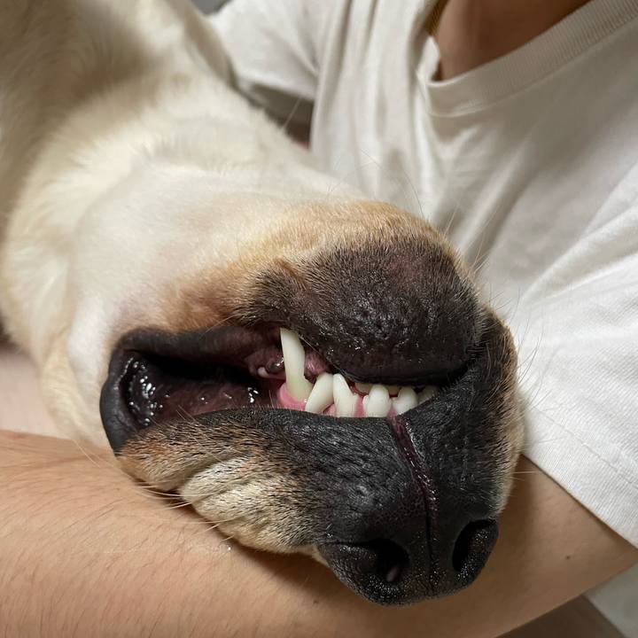 80e779e2 3e63 4217 8c35 67ce59bfe0fb 1658970233754