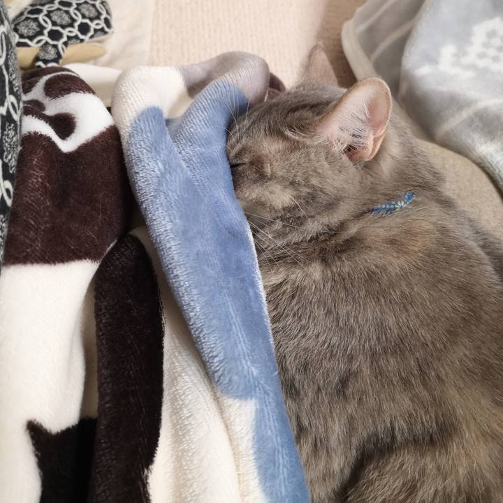 80e791e4 7fde 4d44 8228 5131afb2143f 1577200487489