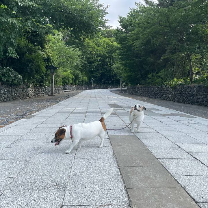 80e7ae29 165c 4ad7 8f1d b3e47d9dd952 1752188207578