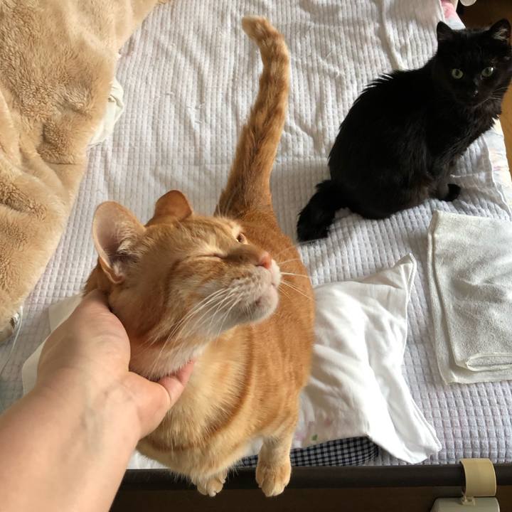 80e7b7fd 445d 4ef0 ad7d 977ecc9cf03e 1574461476284