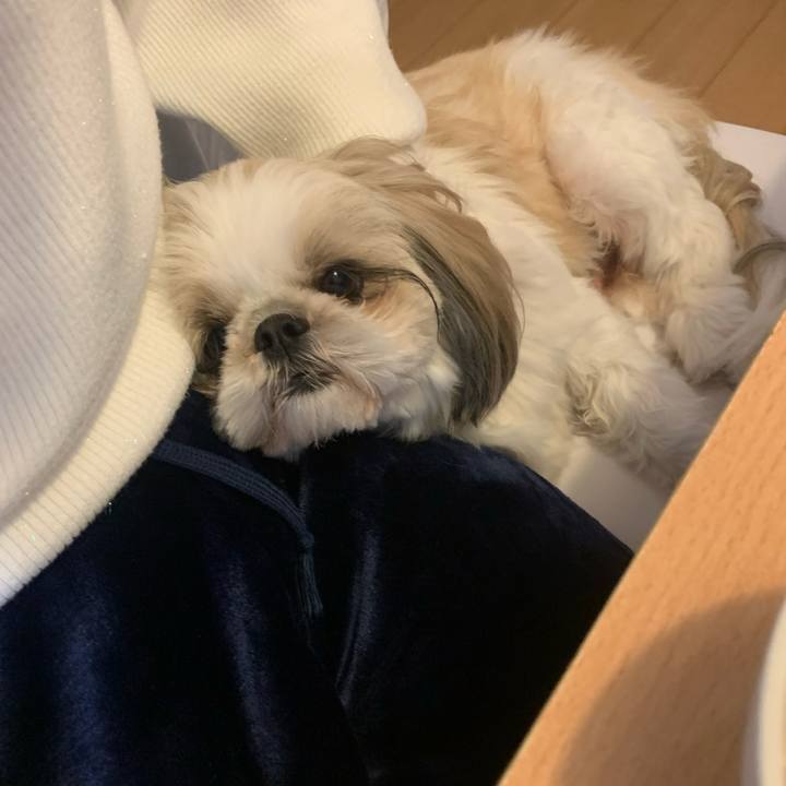 80e7f695 a205 4029 b90b 0dcb805d2c72 1705243196277