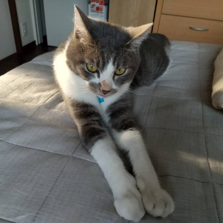 80e84691 147b 4135 98bc 220d56f64be5 1601677782559