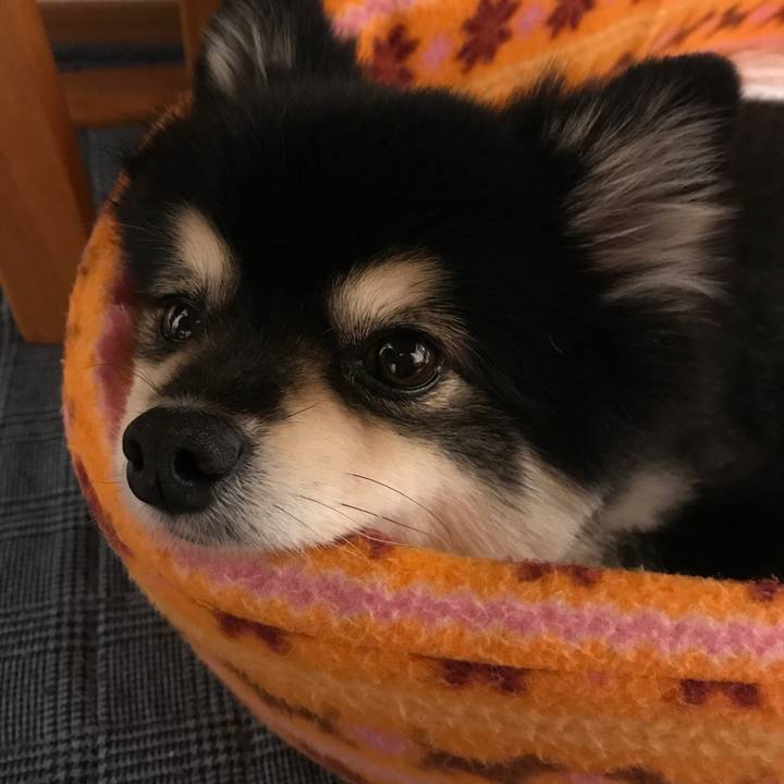 80e8c137 5908 4bbf 89b9 b59b170d83d1 1512821961663