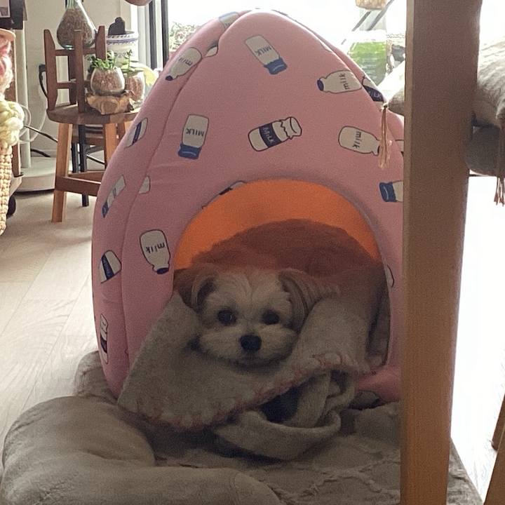 80e8f918 1314 4ae5 aa92 96366fb13444 1765789367117