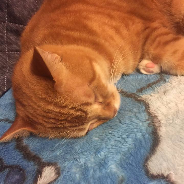 80e90ac3 70ba 42af 9356 4710b1bd691f 1558450814570