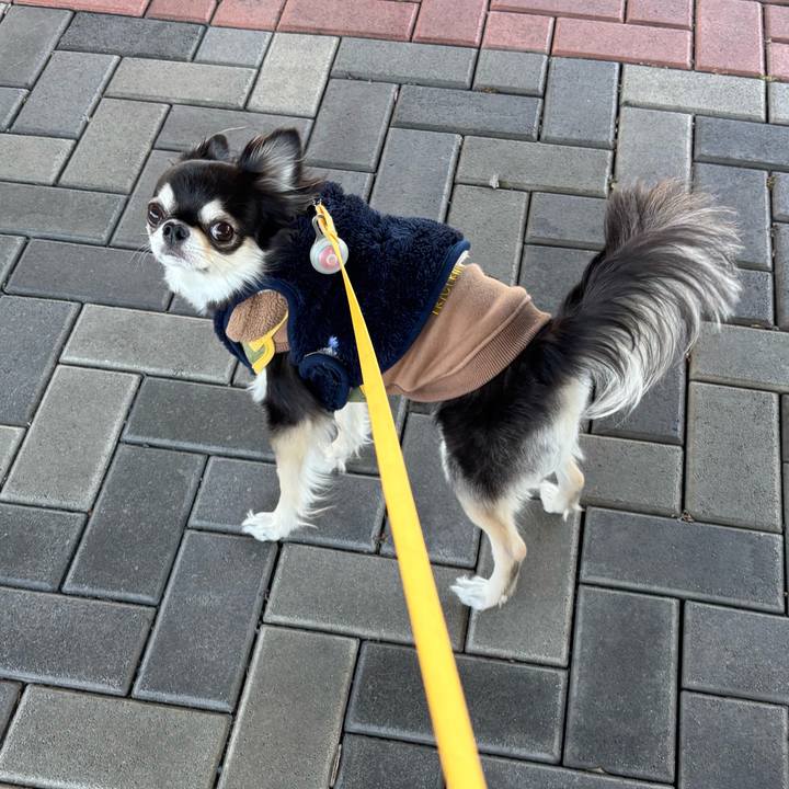 80e90e59 bd78 45d8 a8b6 acbda37f7f3e 1739116822039