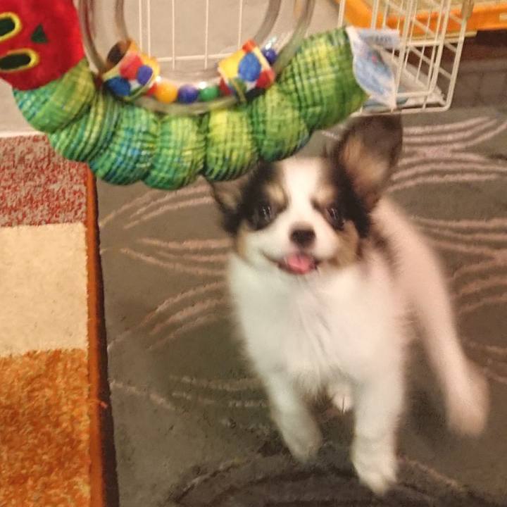 80e91575 05a2 4406 9ebe 773e5a03f55b 1595556700795