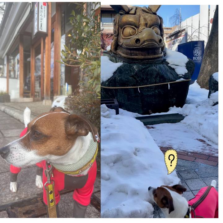 80e926eb 639e 43f2 b053 b58dceb887bf 1643613675306