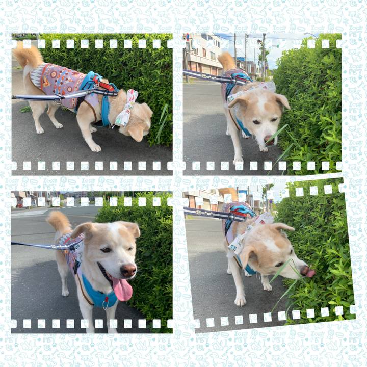 80e92d61 b9e2 4091 a02a 871c352b86d8 1660176583268