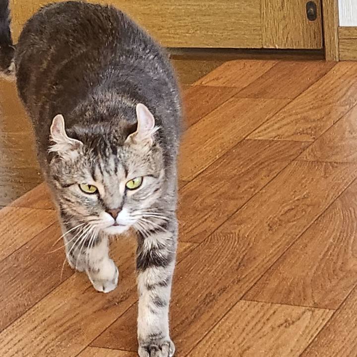 80e92d75 e0d0 4f25 bdac 6b7d9c137c2a 1685986836417