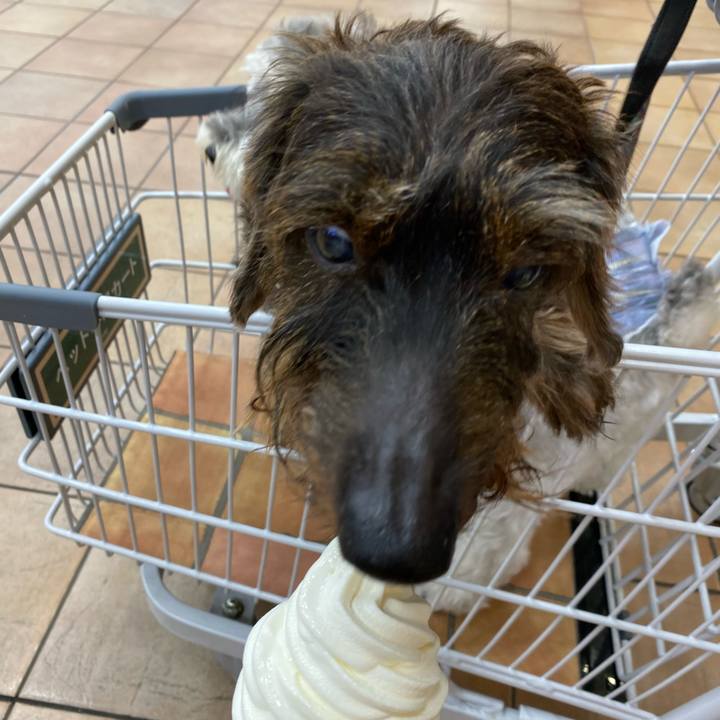 80e95025 920c 40d3 8d31 a7e78a1e2721 1628090202760