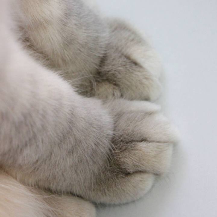 80e971f7 1b07 4bcc a163 2222e30f2d2a 1616989897990