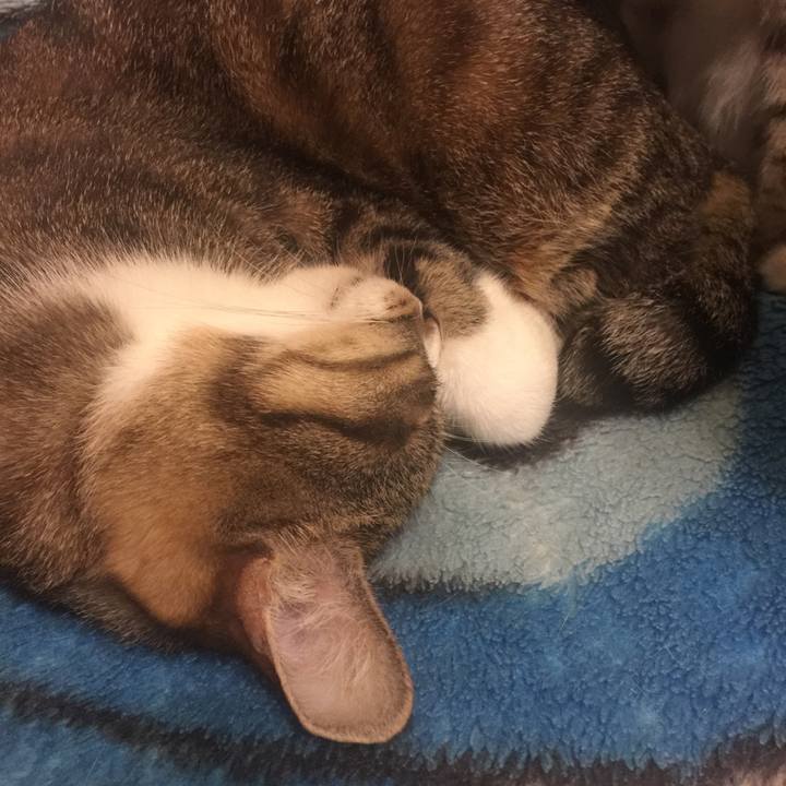 80e992bd 0792 4557 96f8 65e1ab8a414a 1571919415824