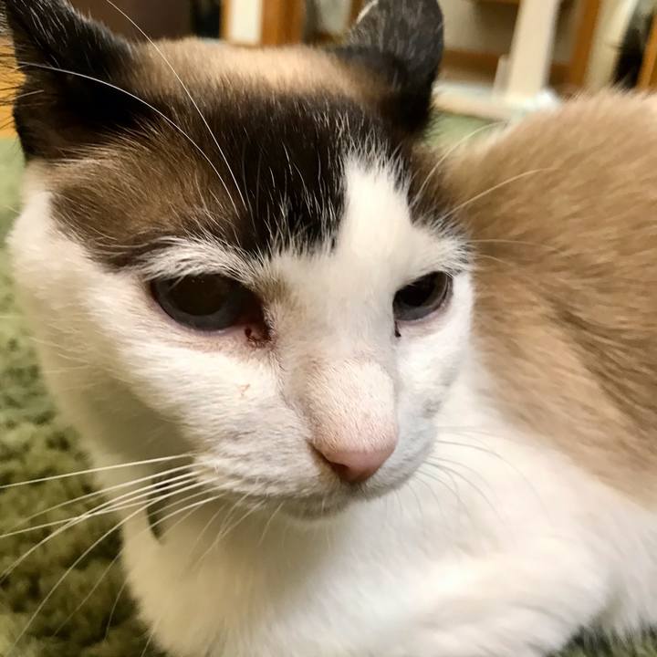 80e9d4a9 c4ce 4cc4 bef1 6180806b18c3 1619223769234