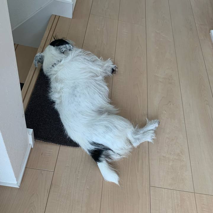 80ea010b f21d 4f83 bd40 46e67aa13ed0 1634004646996