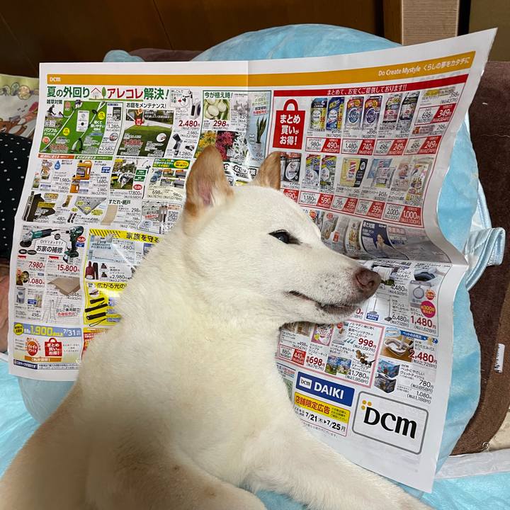 80ea2042 bffa 45f9 9f15 6140ec2a5a6d 1658501516753