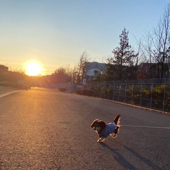 80ea6cb7 ccbe 4c00 9224 95359c76fd41 1709973852129