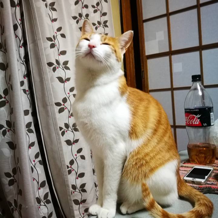 80ea9859 959a 4ff5 919d e7c73cbfc398 1517735235960