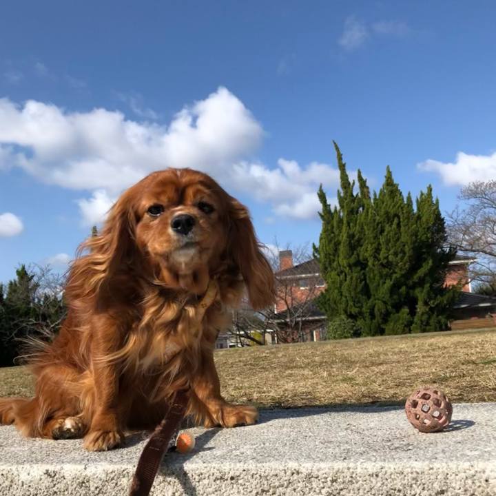 80eaaf8a eb65 4b47 8924 850a23b066d0 1615682945392