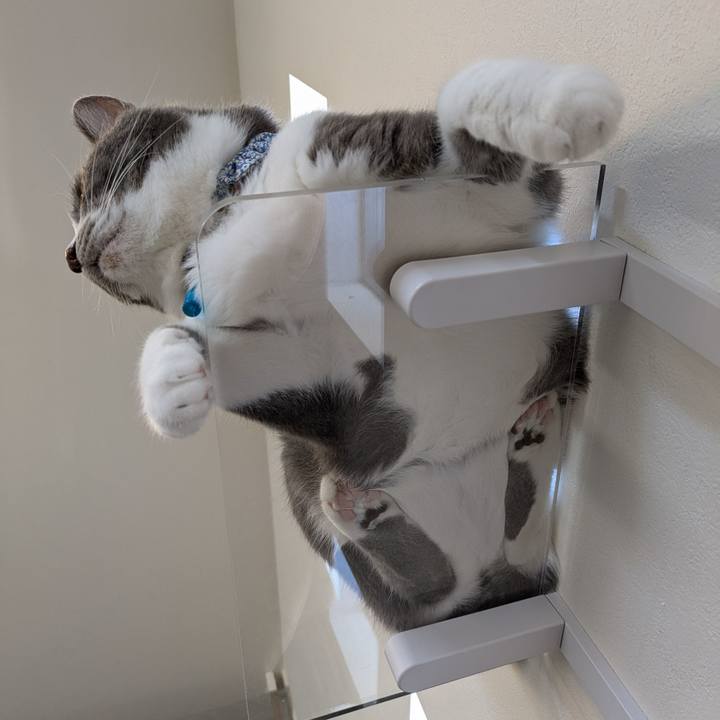 80ead249 a7ec 47b0 aff5 407201833052 1726826177334