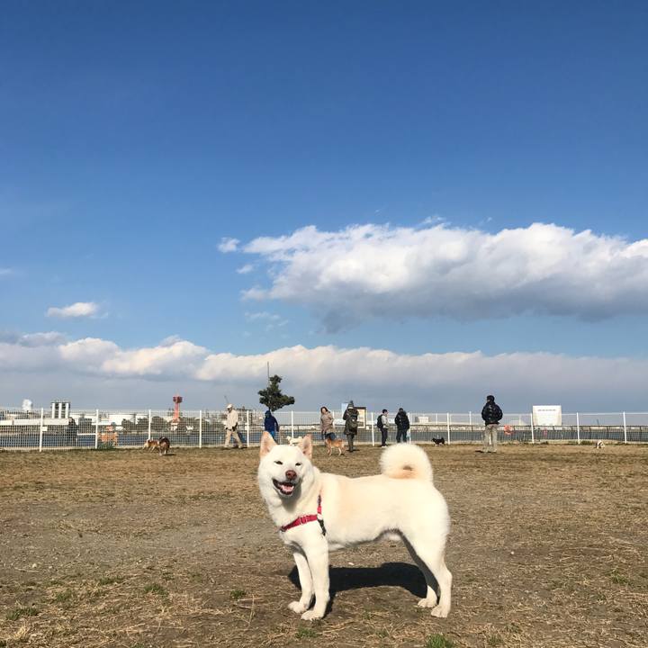 80eadfab e951 4912 bf94 9bb3047df674 1518421433445