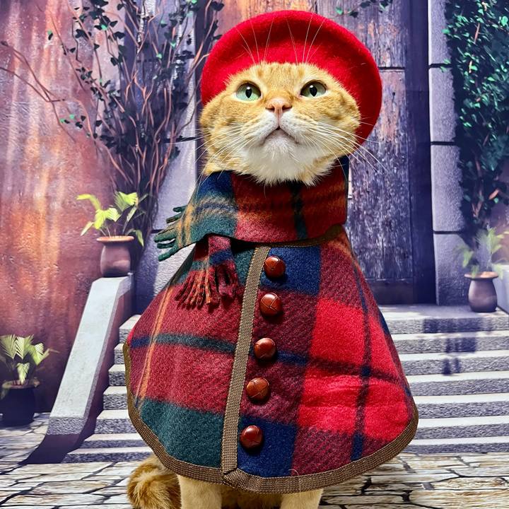 80eaeeee d71f 4e8c 97bd f9bff726d02f 1699220850016