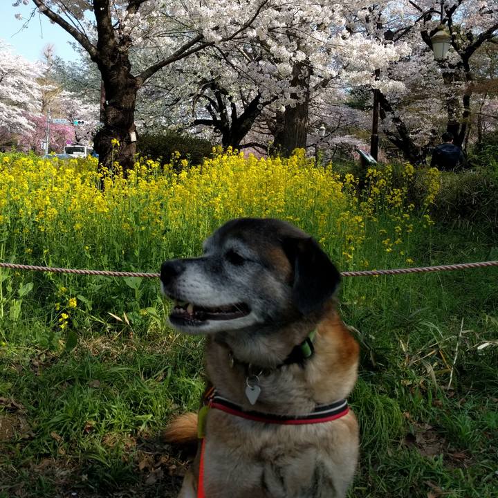 80eaf2ae 82f1 463d 8d7c 53bfb48f6570 1522283200426