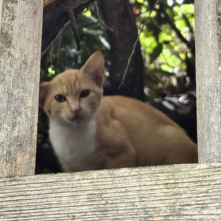 80eaf3c8 ef45 4457 8bfc fbc51f007cb5 1726908028554