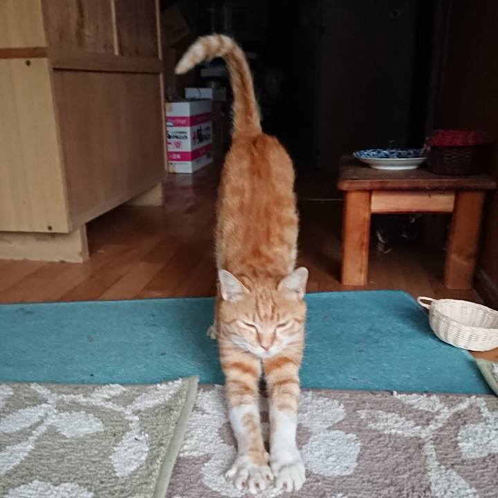 80eaffd6 bdb0 464d 9516 a98d960600d9 1561626022478