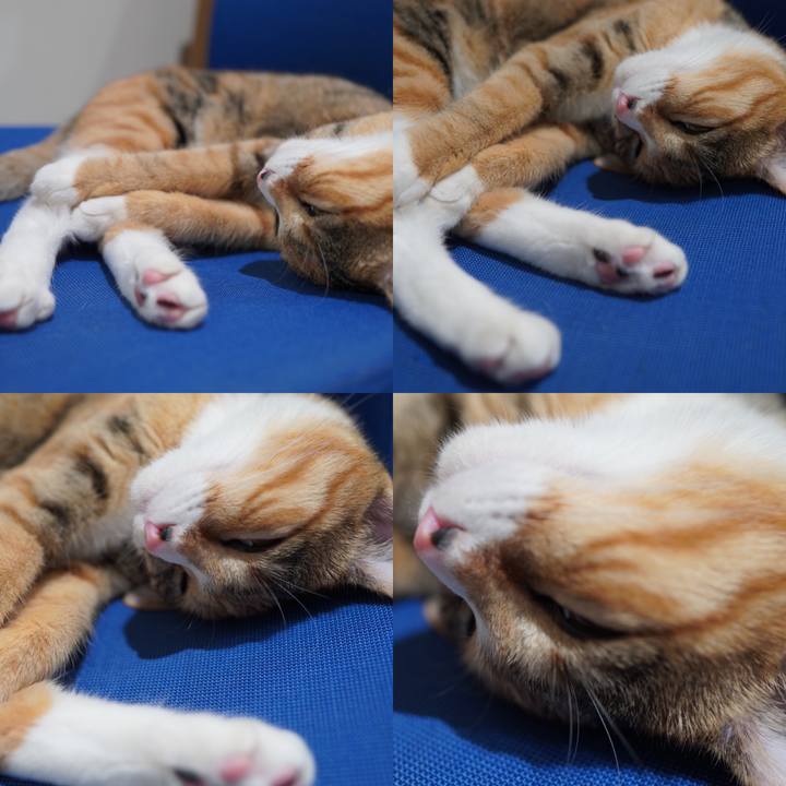 80eb6db9 c437 43c9 a1d0 cc8dae406ccf 1588516142488