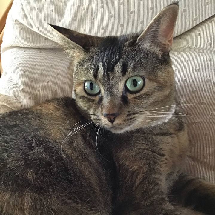 80eb8b67 593f 48ad bf34 dafa5eb38fa0 1661689991669