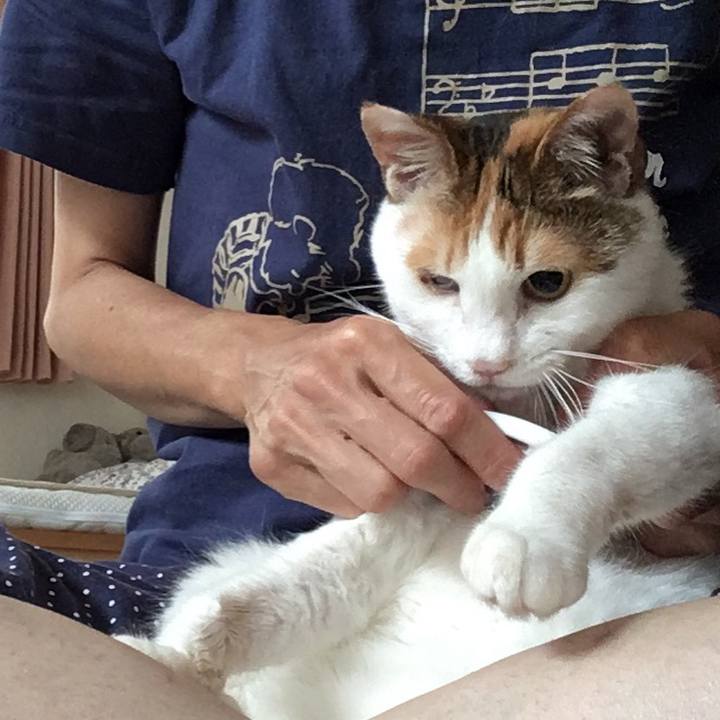 80eb9305 7c4d 4546 a82a 56a9db13d33a 1532652766575