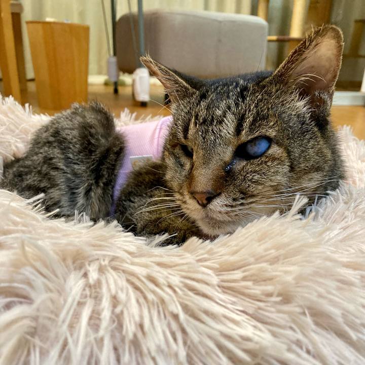 80eb9fdb abde 44d6 af4a 91ef1d01e7a1 1685272276784