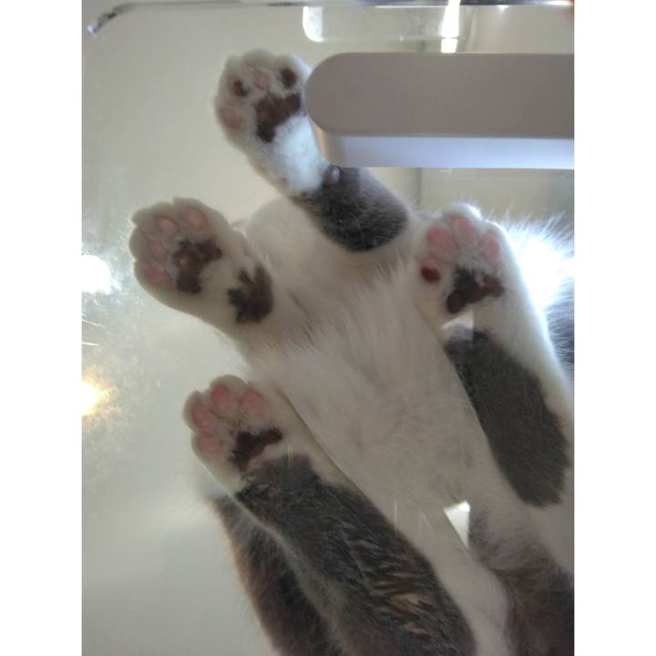 80eba6e6 1b15 4804 8aad ea4c9fb77b2e 1678880246276