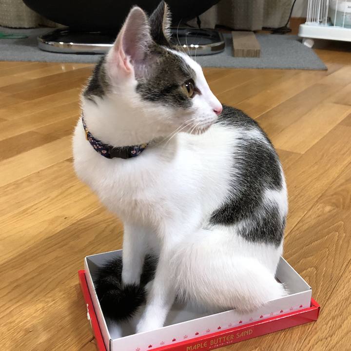 80ebc6f7 c3bb 4587 8a66 7046ac8cb322 1574838557836